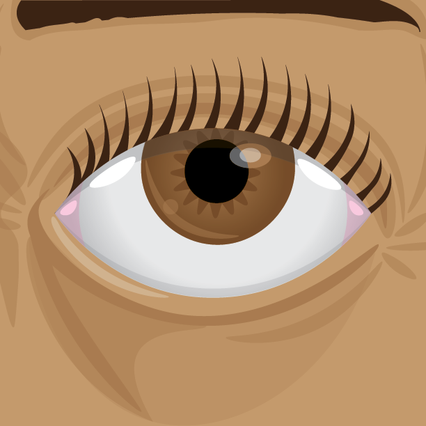 Eye