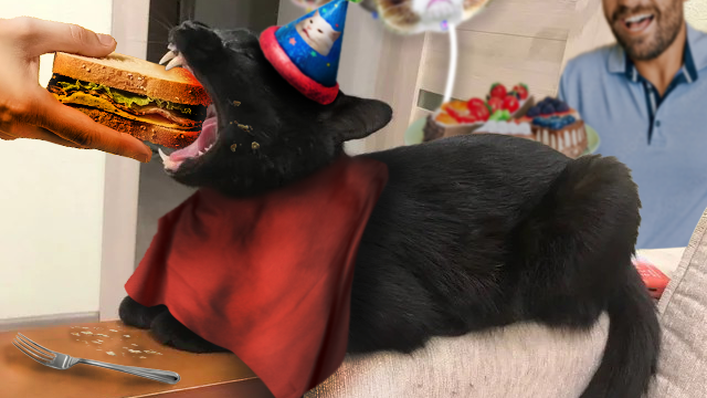 Feline Fest